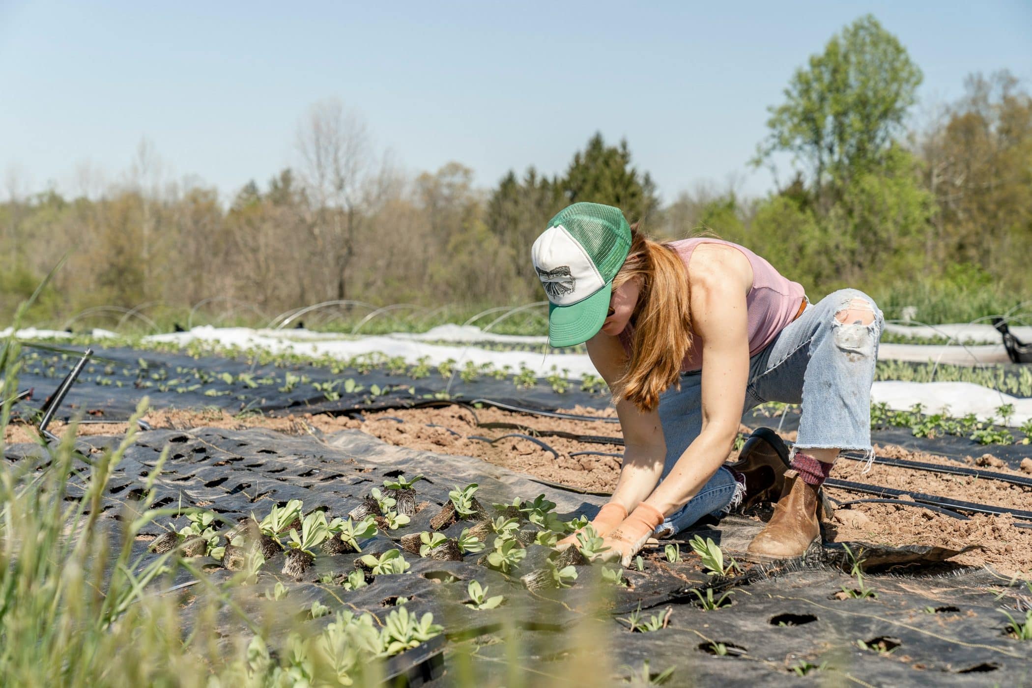 Green Horizons farmer network flyer